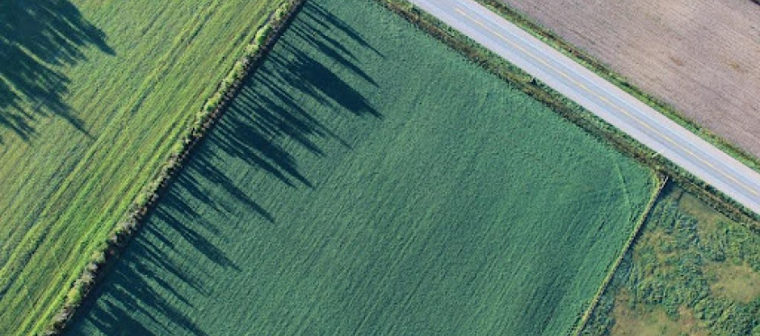 An aerial view of an open field